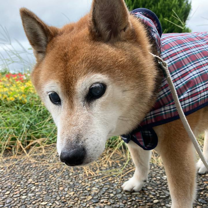 9f367485 dc3b 4bab b3e6 0cf63e078201 1723771405294