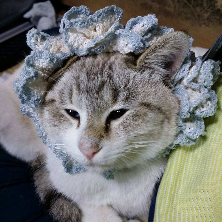 9f3692f2 7507 4f82 8d7f 589e77203fb8 1515380422289