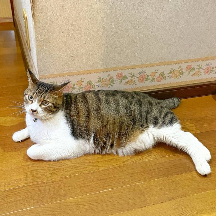 9f3697a1 9e28 4f20 aa76 3c826a329f92 1754797809340