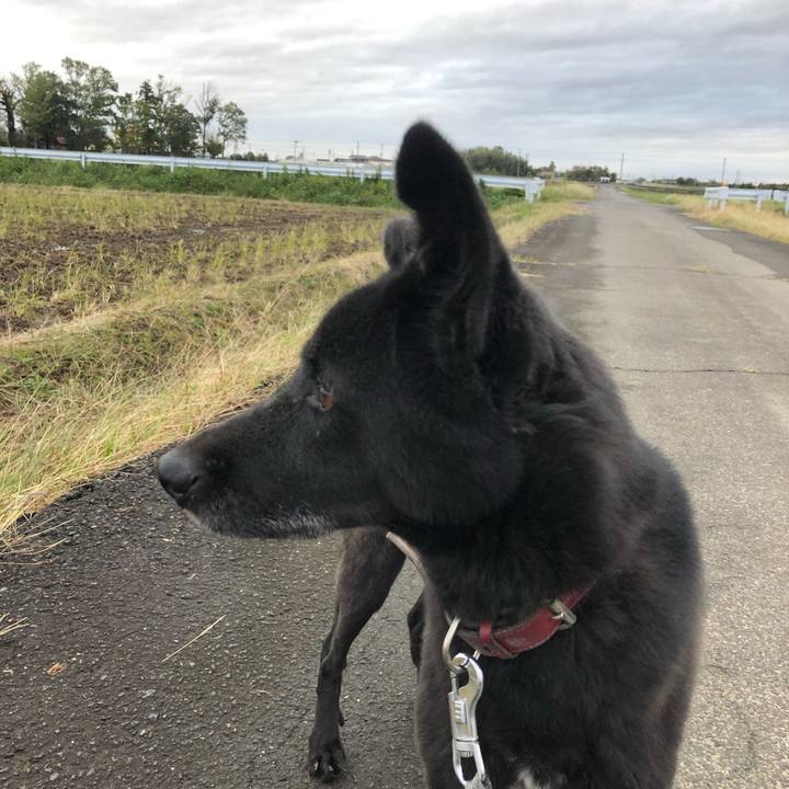 9f36ab76 9170 4da3 84c5 f2edba2bc122 1571728453278