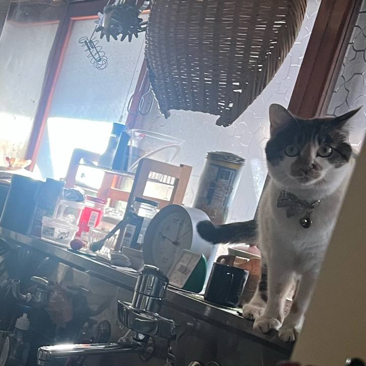 9f36ad10 9f0a 421c bc0c 894e7ea91519 1771643301294