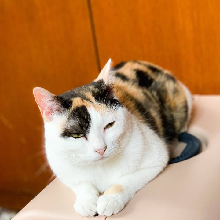 9f36c2f8 77e4 4126 bbda 6db889d9b6ee 1566349523565