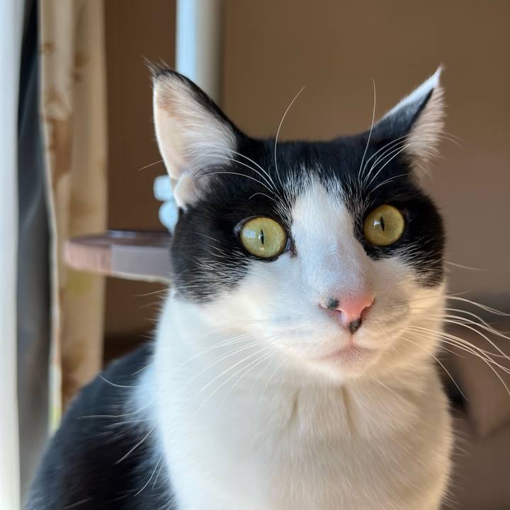 9f36e3c3 6a48 47f9 a3ef 76469fda5838 1644026460712