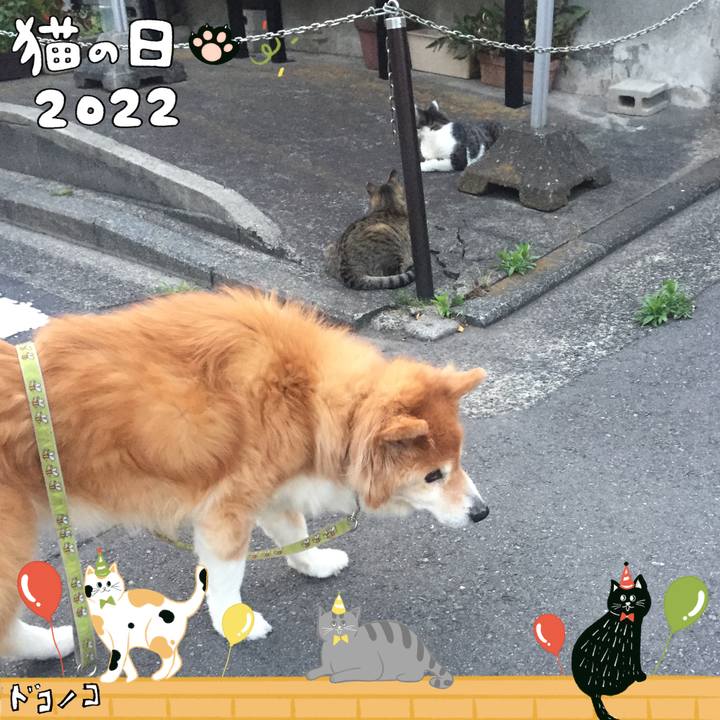 9f36f781 ebcb 4452 9ff5 b27e3cb441f0 1645522056014