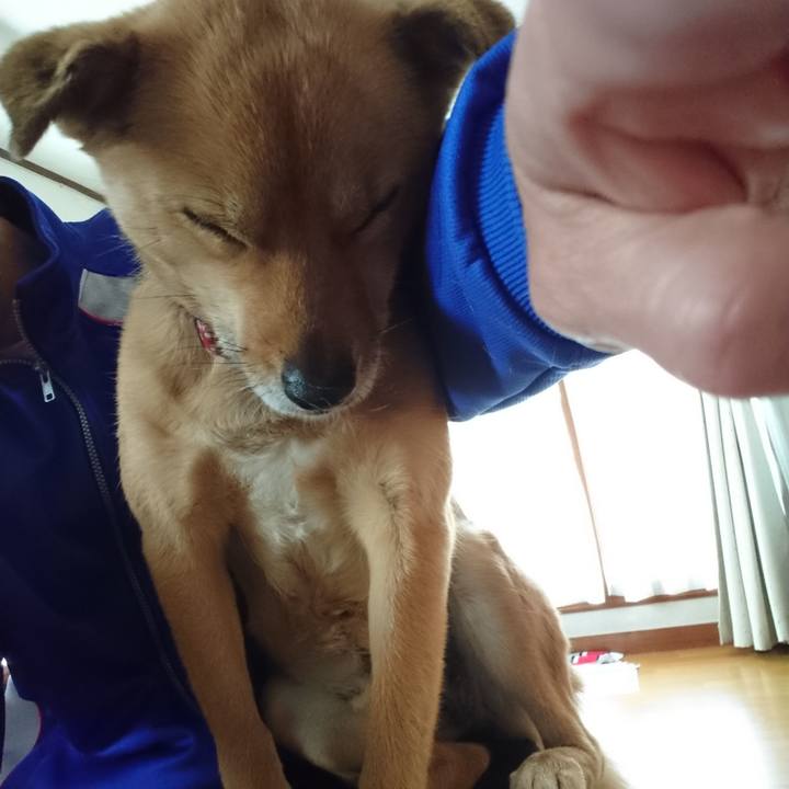 9f371a9d ca7a 4b6c 9a03 b0b37c600985 1560159751414