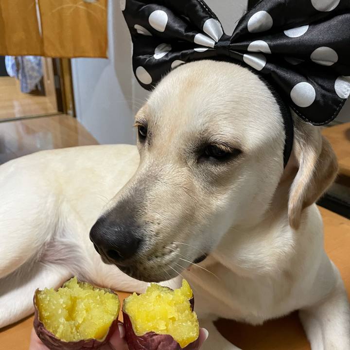 9f373ba7 9824 476c a999 0a6e6c74c465 1635513678813