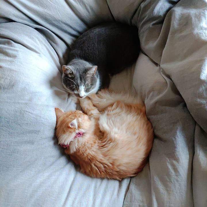 9f373e92 ad03 4fb7 a9c3 4b60b8f6cec1 1669596274357