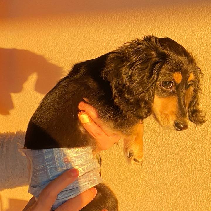 9f379e6e 8d7f 4f4d 9c2f 151e3ee3404d 1667450202261