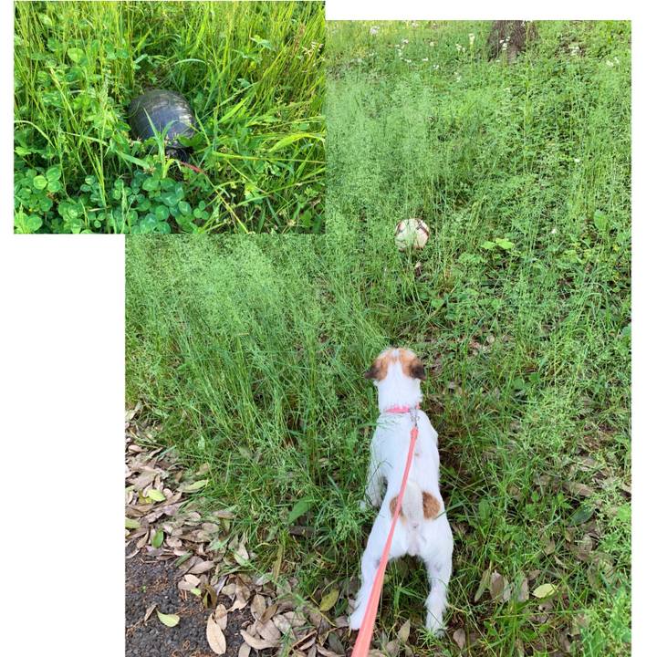 9f37b490 a54a 41df 9ef2 95508984b09e 1589270092378