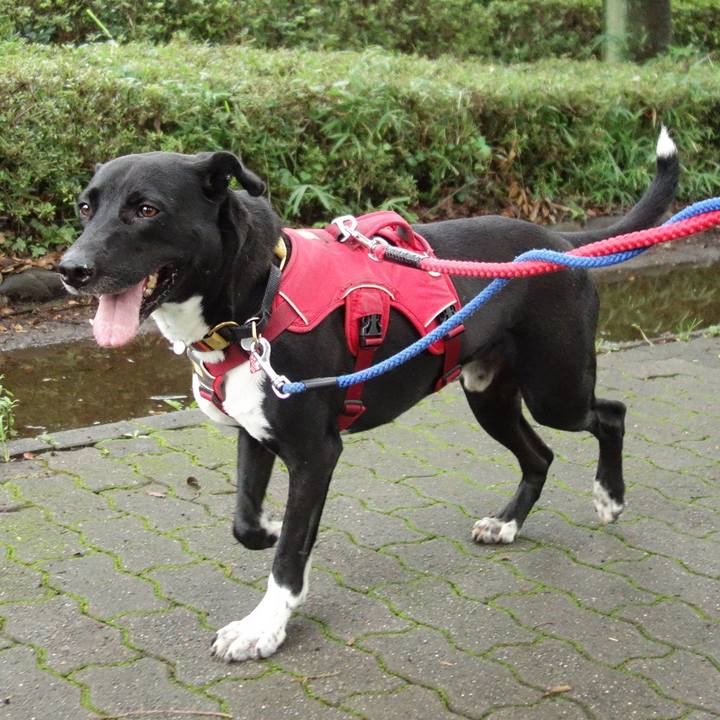 9f37bdc0 2875 4b5e a8ad 23cc27b64a3e 1594164434392