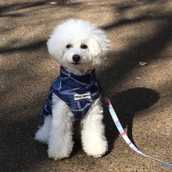 9f37c835 7857 4282 9389 f5fba5955ec5 1549270500146