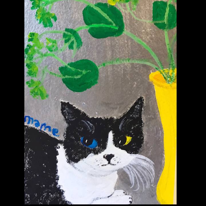 9f37d07d 2ea3 4d93 8ad6 4f5fcf485ee0 1583757857165