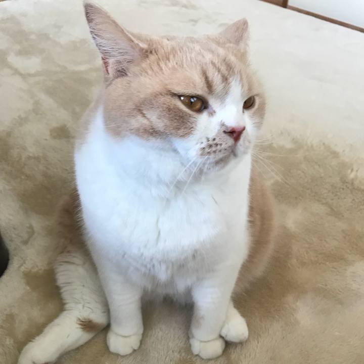 9f37e880 05bf 49c8 aa25 e32c9f29ed93 1533182834124