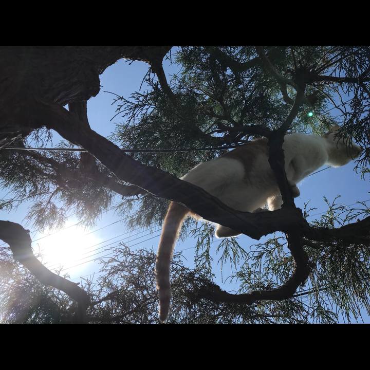 9f380011 6236 4d21 b77b 89bbce80cde5 1508214462020