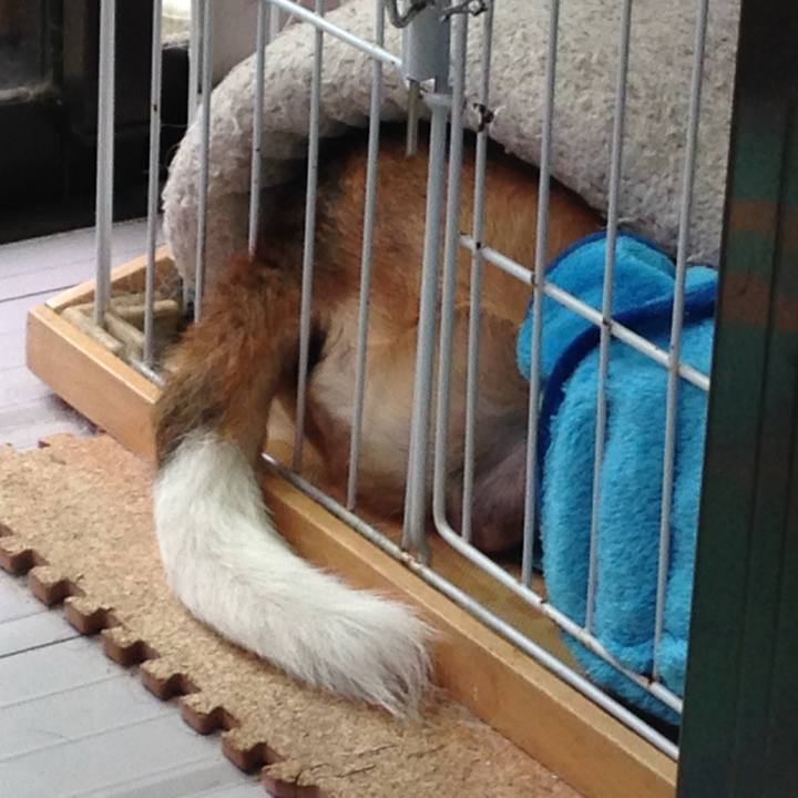 9f38235f cf69 4539 87e4 75f49c0e60c0 1726535131718