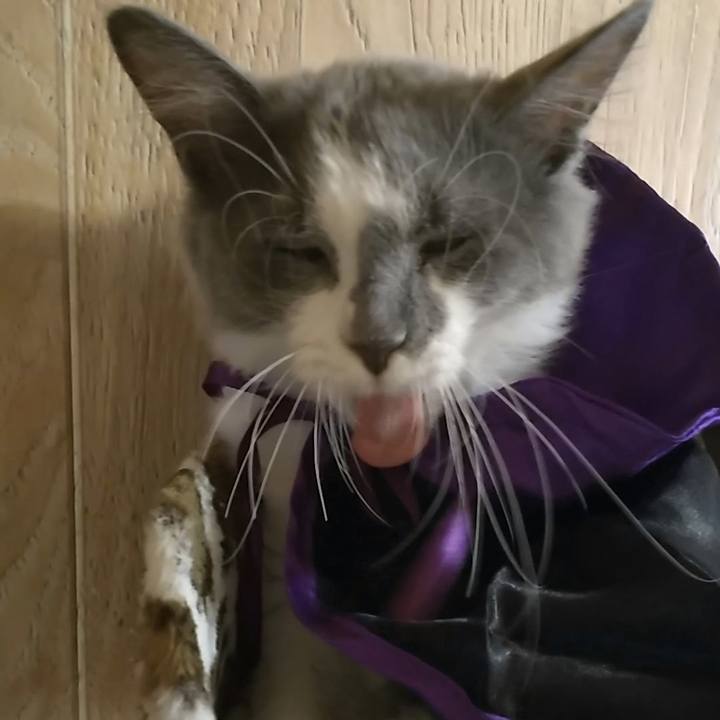 9f38395b 679b 4e99 821a 9b23af6c46de 1566723770687