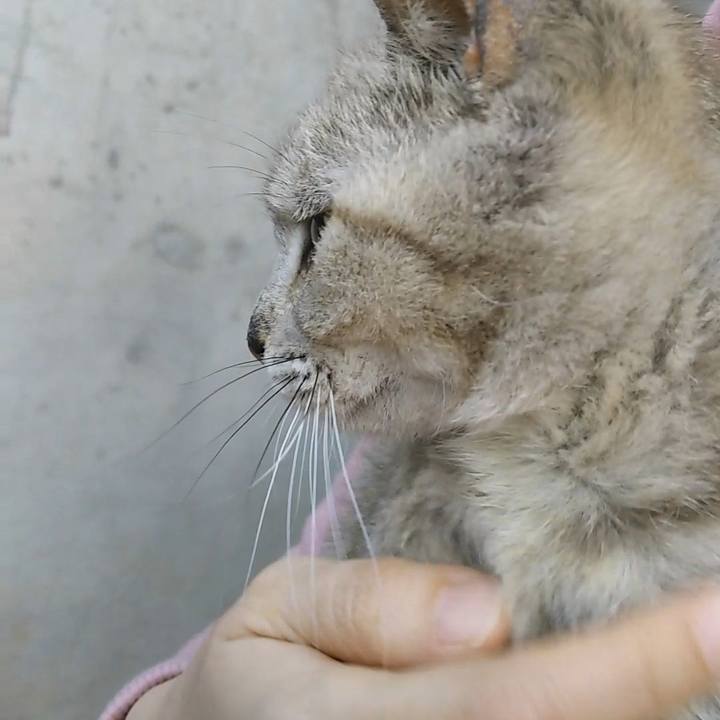 9f3845a5 4c11 4ebc adc5 c89eb1758588 1521017635045