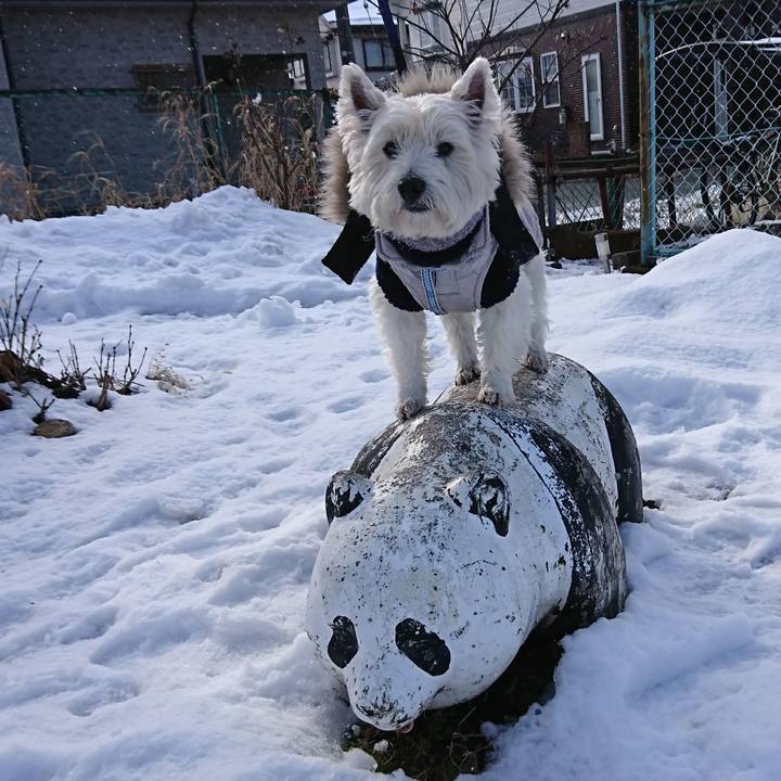 9f387112 8c86 4c60 8e11 85b5cbe68845 1515053352715