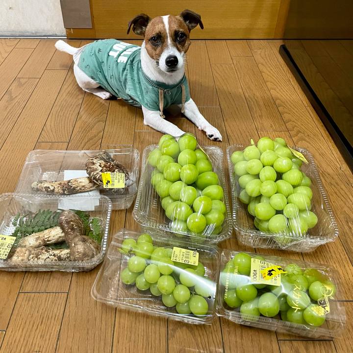 9f3874c3 c679 4aa5 b549 116d5de33bfe 1632990355727