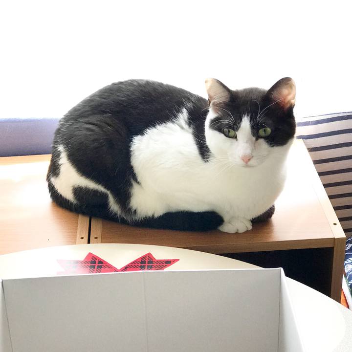 9f387599 fd74 4a54 af63 218a219fd1ba 1527691485666