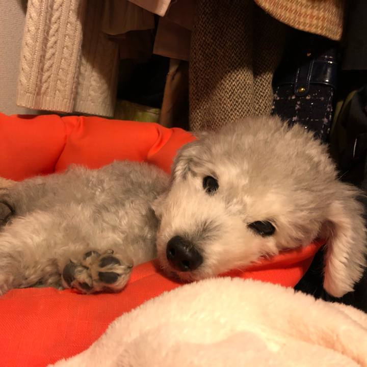 9f38d0d8 3b2d 495f b6b6 8d310810b614 1577798751223