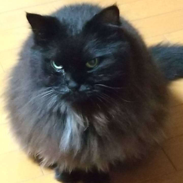 9f38ded0 a449 40ca bc8f 7871909b734c 1696068167228