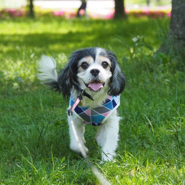 9f391d37 c34d 42b2 b232 b81bb2a44444 1556773488497