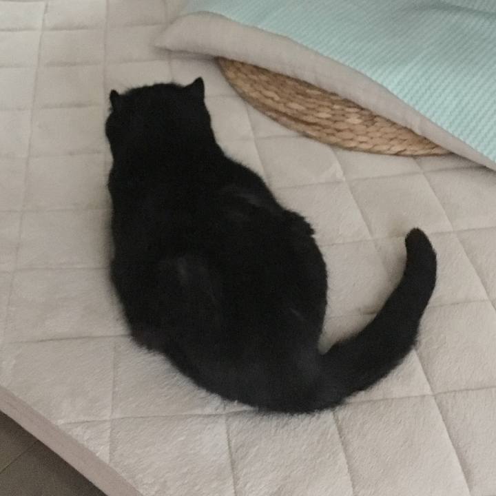 9f39828d 5e77 4517 8a11 23b94dc444f2 1510639829603