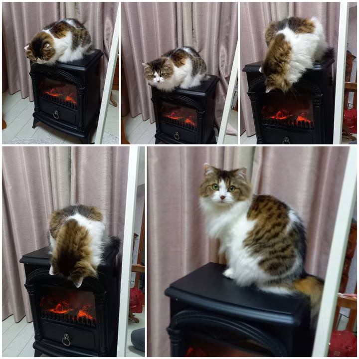 9f399d5b 0e3b 4e9c b3c1 56af38e84bb3 1609079171870