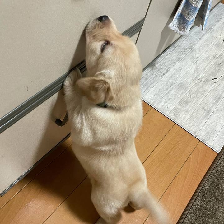 9f39a5c5 ecfe 42f7 adf1 00f3c8d32cb2 1627732883005