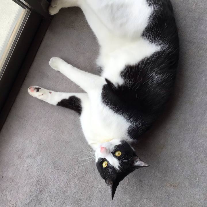 9f39b481 834c 4b33 9d47 9163fd853100 1652328919553