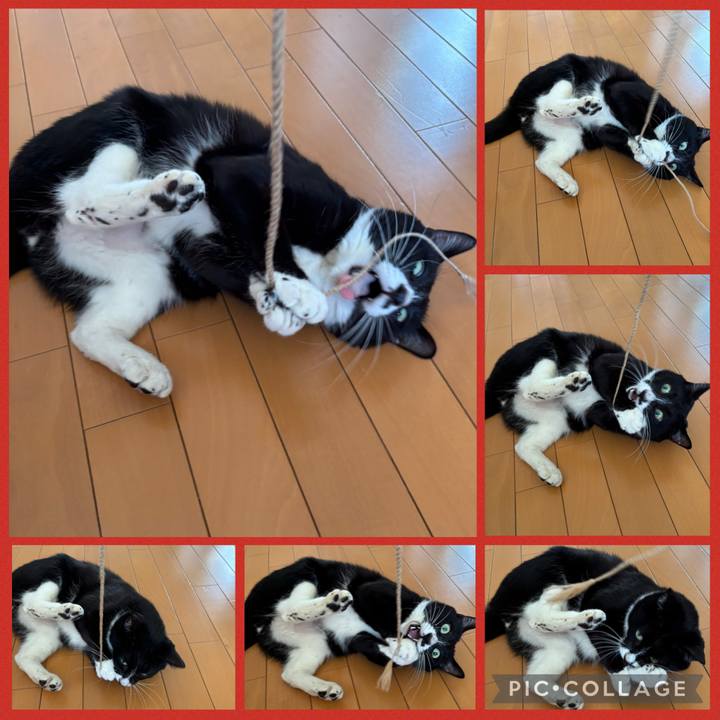 9f39dff4 4b32 487f b096 b723ed41899a 1772325754941