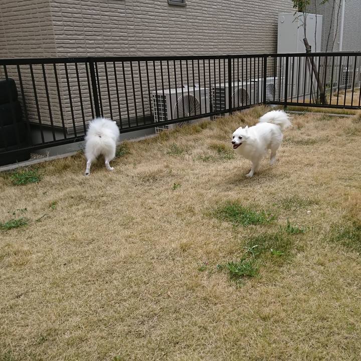 9f3a14c8 4cc0 40ee b156 2fd212cd235b 1555737800273