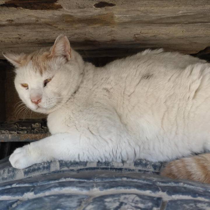 9f3a3b69 ae1d 4446 8a0b 7415c1ffcf99 1749167510704