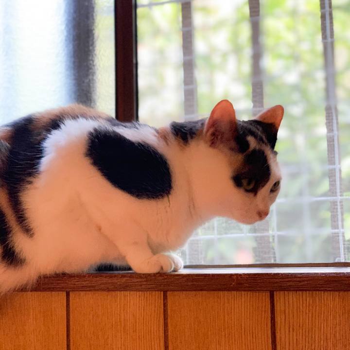 9f3a6648 c962 4f6c 86f8 6283033e8850 1570066540761