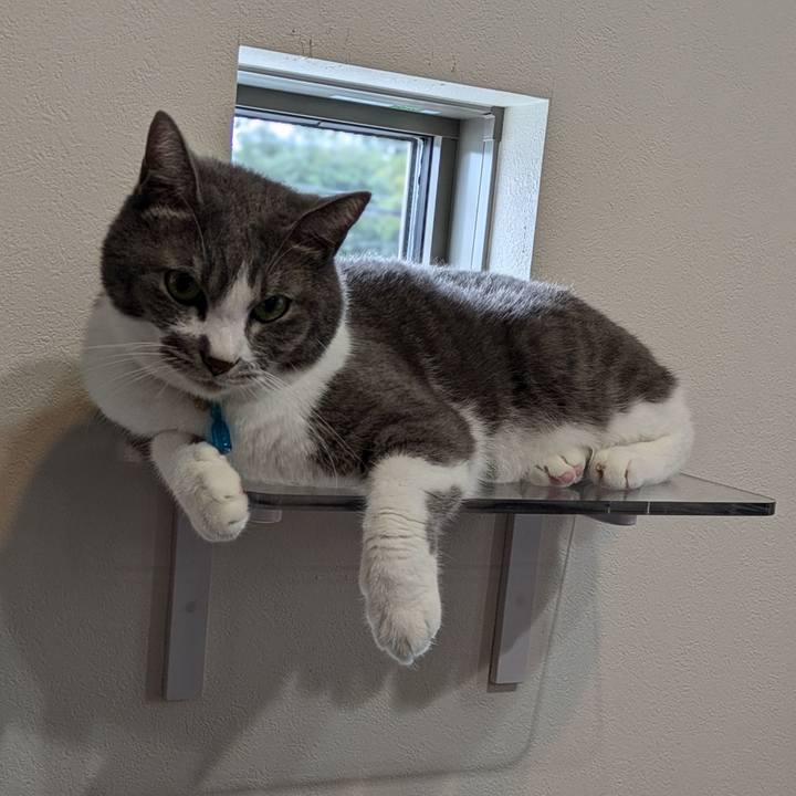 9f3a6af9 8310 4787 bc38 3caca2c04c3a 1727417611781