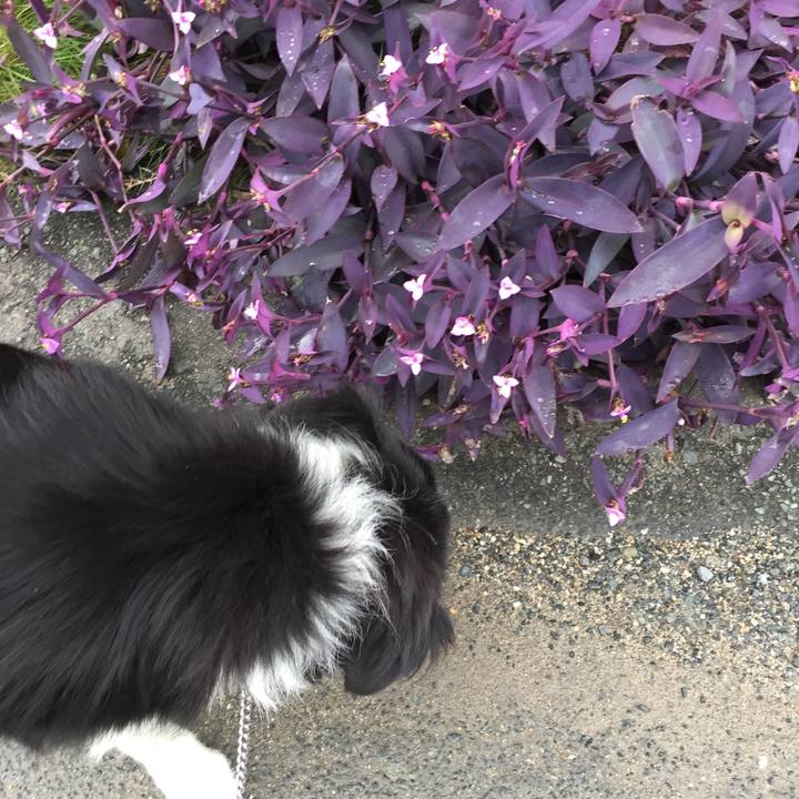 9f3a795f d0e2 4ee2 9b06 8304f874bb66 1539219130452