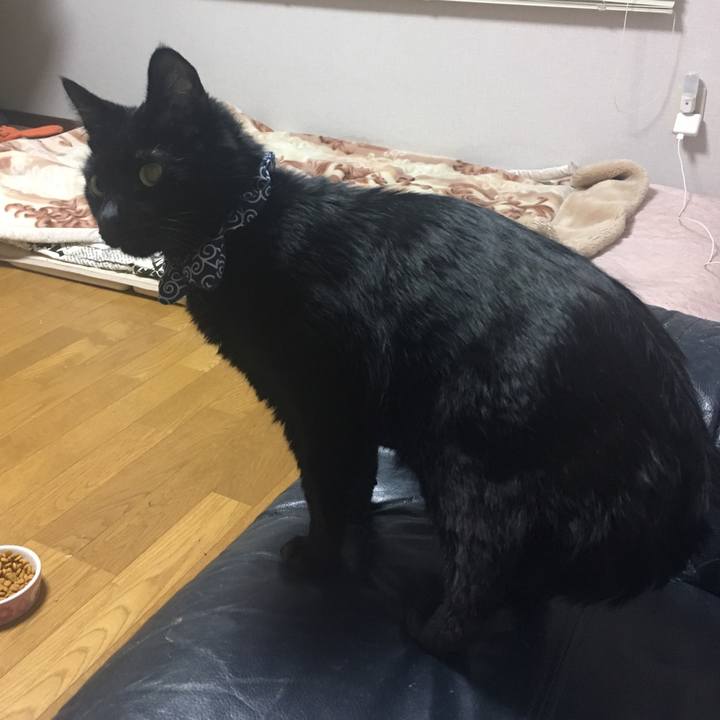 9f3aa3be 92c7 4cfc b76c 0ef1ae8f1859 1552759256818