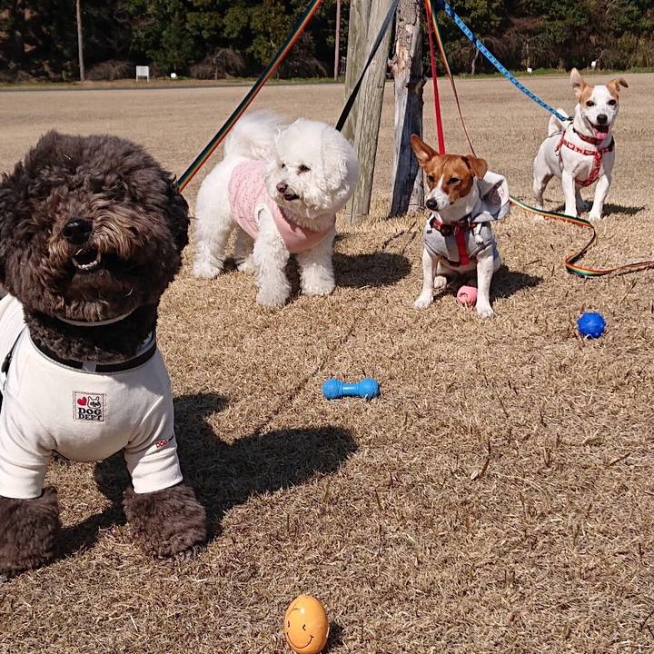 9f3abadb 3a9b 499e 9057 aebcff270ee8 1584530722880