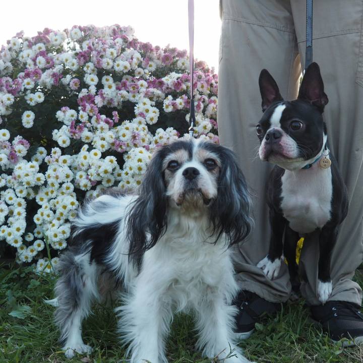 9f3ac24c 488a 481c a3ce ae2cb7a3a754 1542955435276