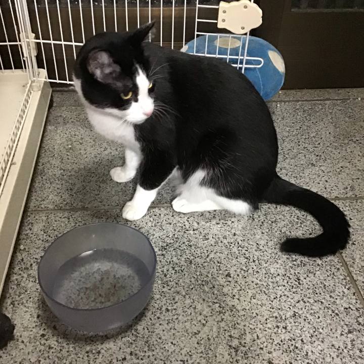 9f3ae2cb 6f97 47c6 81b2 878dbceb3f59 1763121892520