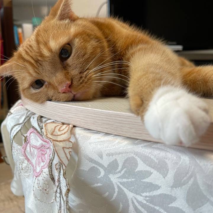 9f3b20f0 af6e 47c3 9520 19a2e08cd6a8 1625300506197