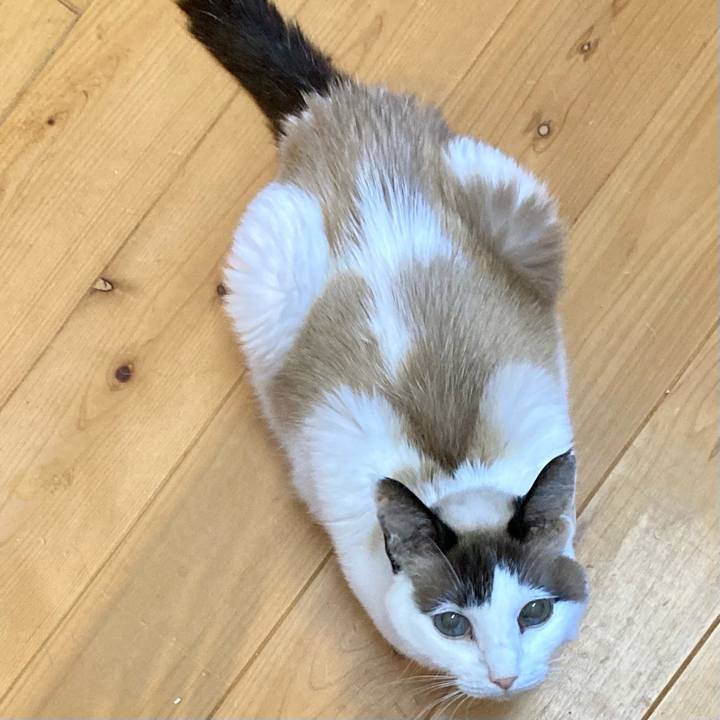 9f3b2d00 fa8c 4867 8af0 dcd6f4cf230b 1679293940297