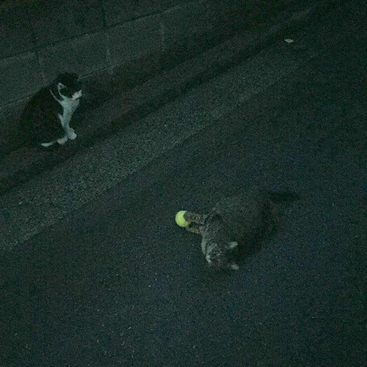 9f3b3089 fb00 4b0c 9c33 ae54af6ec51e 1511262489651