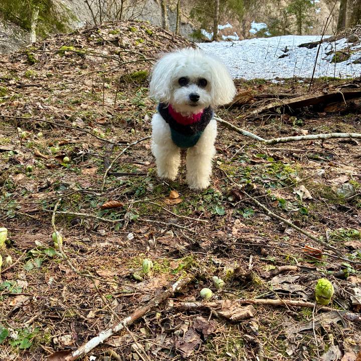 9f3b4899 33b4 4838 b346 8a28bff1cee0 1772899001137