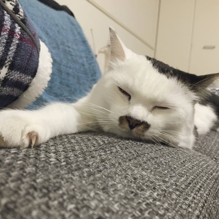 9f3b6fd5 9217 4a85 841c 82cdf34395ae 1540184373751