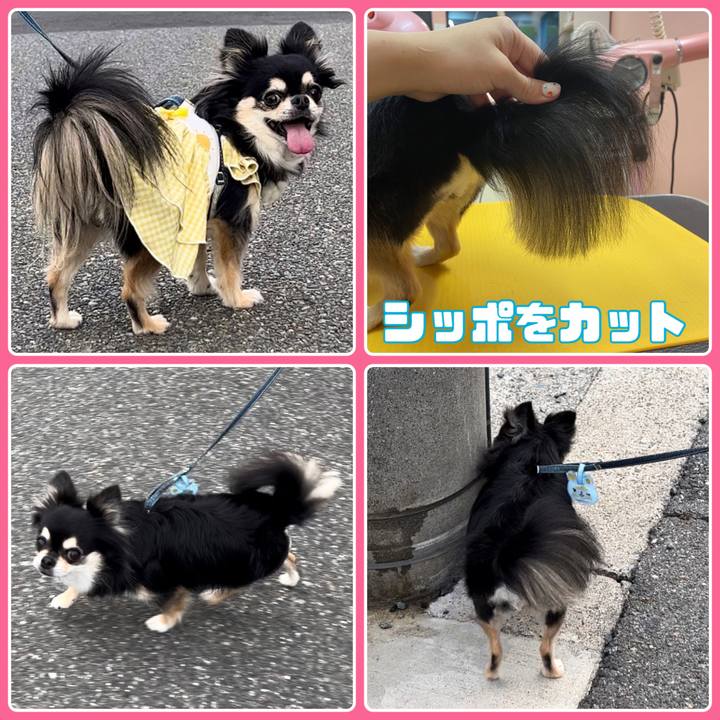 9f3b8123 1de3 4dc8 a120 e318495f28f4 1692230362366