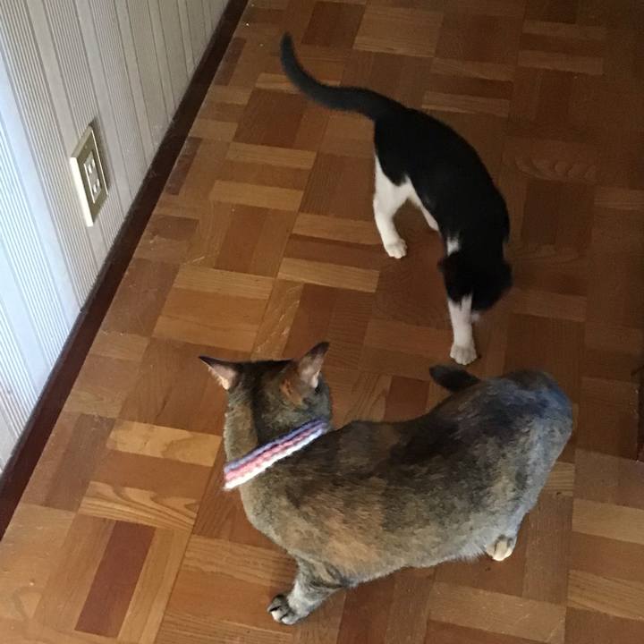 9f3b8aa2 2be3 4c5a a412 2ac3a462eee6 1626570775112