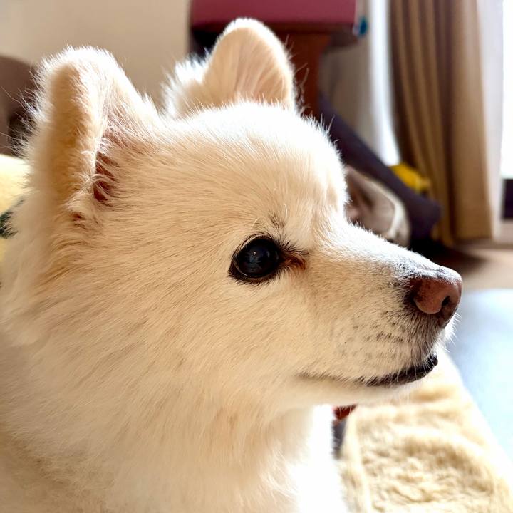 9f3ba2cd f64c 430f b80f cfcbc5a4e698 1773731503176