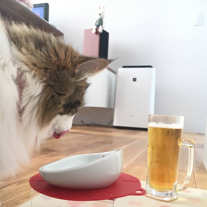 9f3bb59e 5e6b 4848 82d4 ff88d414a327 1528560092742